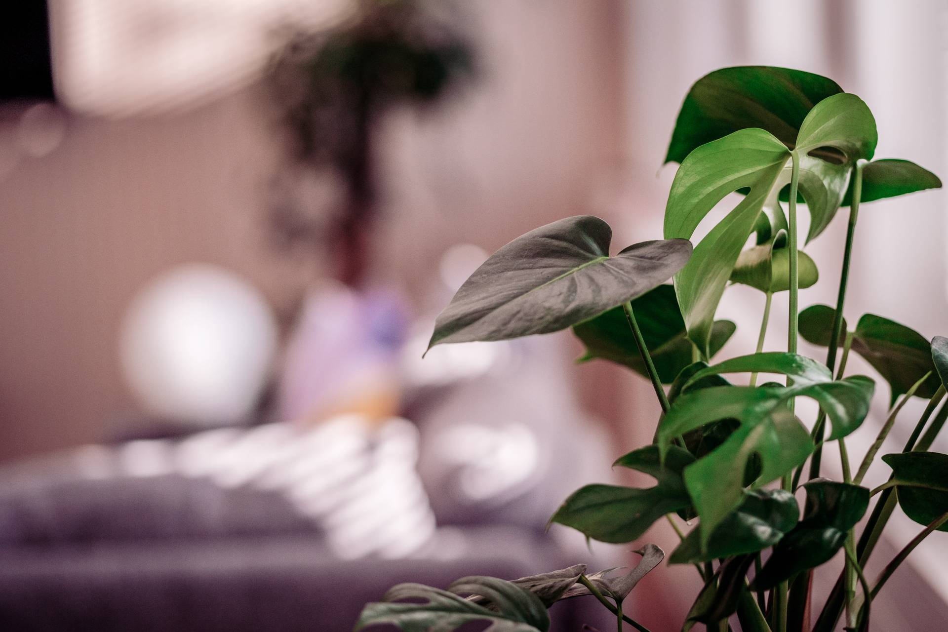 20230317-DSCF2782-large