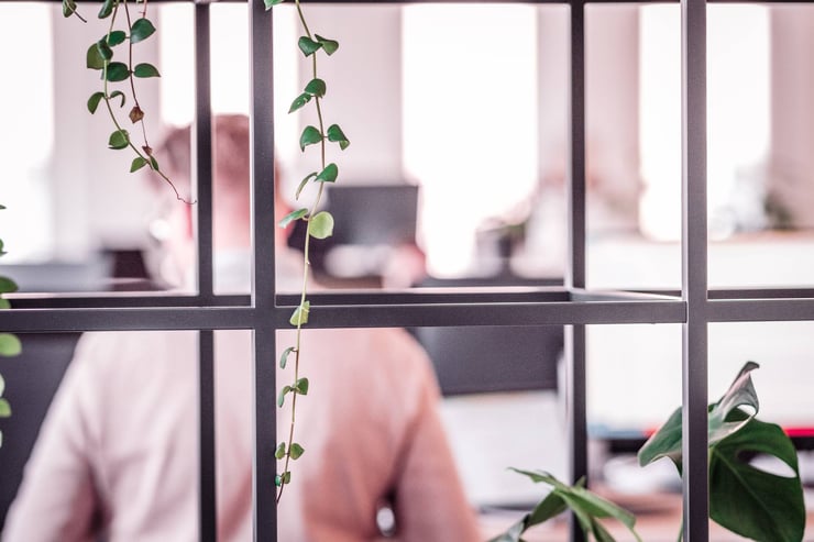 Loihde - 20230317-DSCF2930 - 1920 x 1280